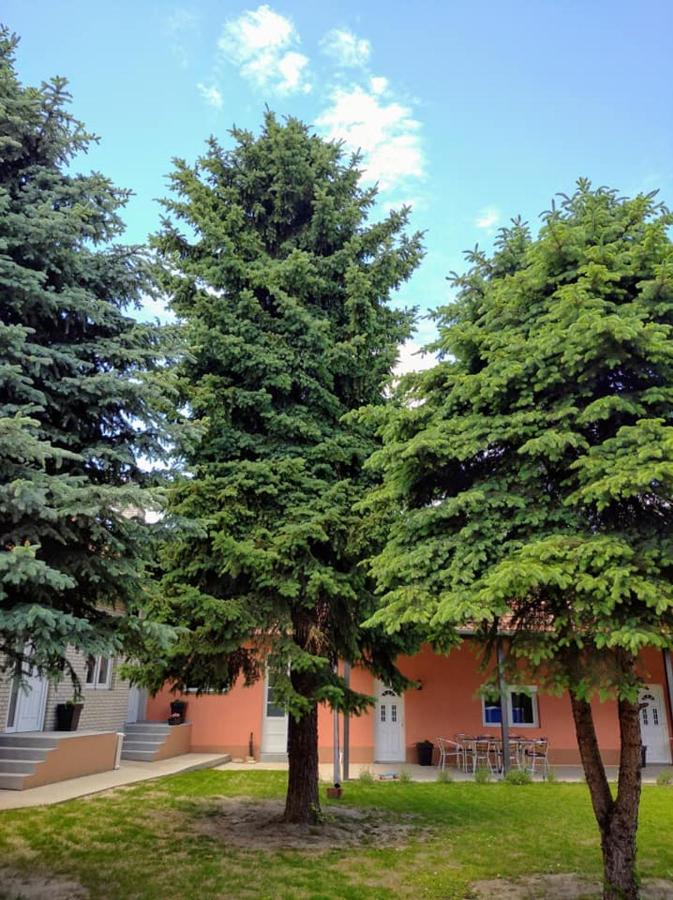 Dumalux Apartment 수보티차 외부 사진